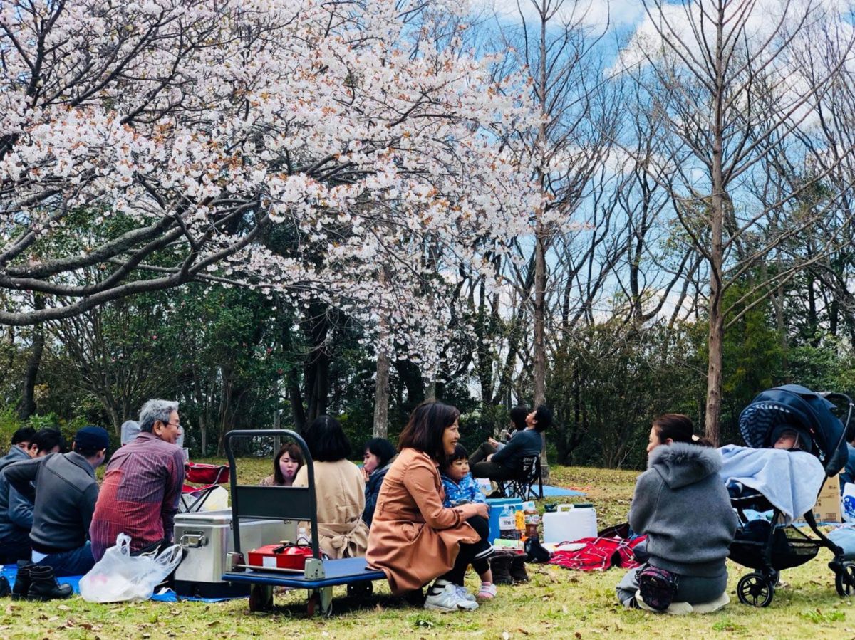 咲いてますー!