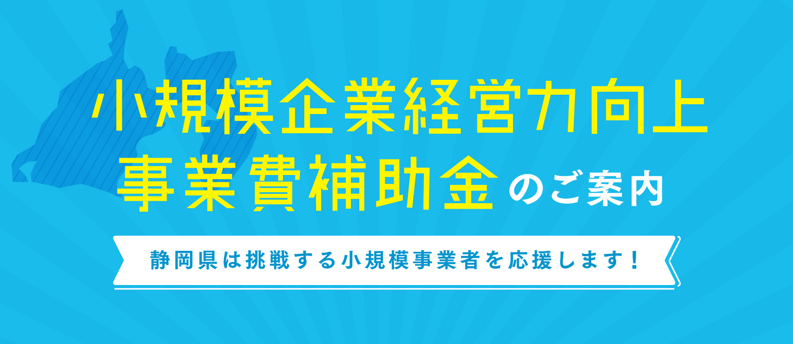 デジタル化補助金