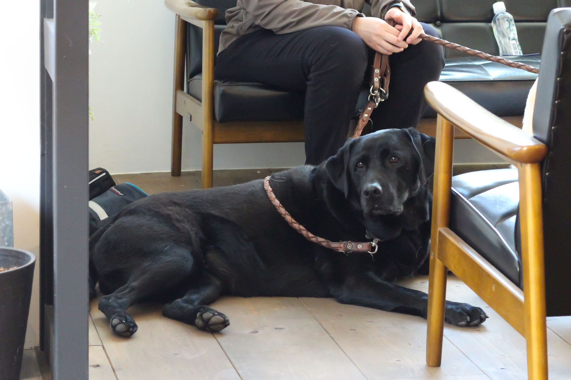 篠原様の愛犬エマちゃん