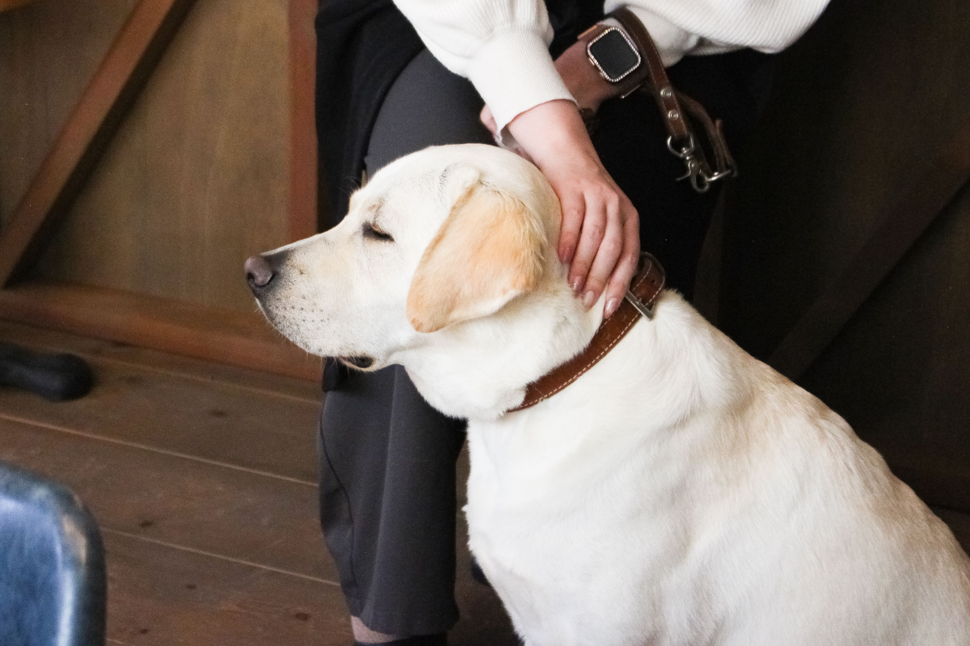 篠原様の愛犬ルイくん