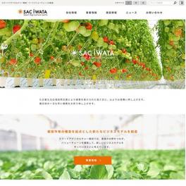 地域から世界へ。 「グローカル(glocal)」の概念を日本に深く根付かせ、世界と戦える農業の土壌を、磐田市から築いていく。スマートアグリカルチャー磐田様