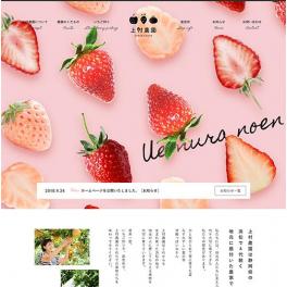 浜松市北区で4代にわたり、いちご・梨・みかんの栽培を手がけています。上村農園様