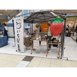 いちびこ農園様　イオンモール浜松市野出店中です！
