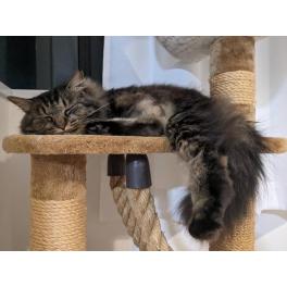 はじめまして、倉橋です！