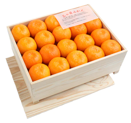 八百久青果様 三ヶ日みかん